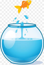 fishbowl png images pngwing