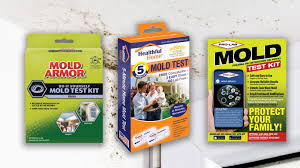Top 10 Best Mold Test Kit 2019 Reviews Buying Guide
