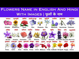 common flowers name