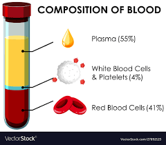 diagram showing composition blood