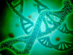 dna facts and information