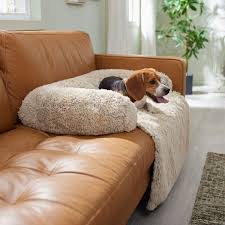 frisco dog cat couch cover with