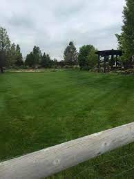 windsor lawn care by fort collins lawn