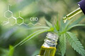 How is cbd oil extracted from the hemp plant? How To Extract Cbd Oil From Hemp Senior Outlook Today