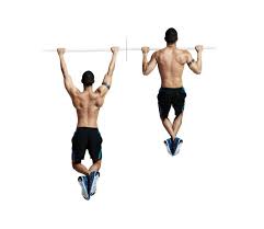 5 Reasons Why You Should Do Pull Ups Trainer