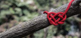 What Is The Best Rope For Camping And