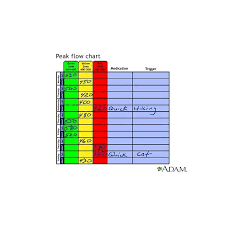 Omron Pf9940 Peak Flow Meter Chart For Peak Flow Meter