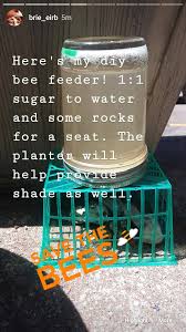 You can measure by volume or weight. My Diy Bee Feeder Repost From My Ig Gardening
