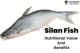 silan fish nutritional value and