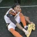 Image result for tj hous gif shining his shoes with a steeler towel