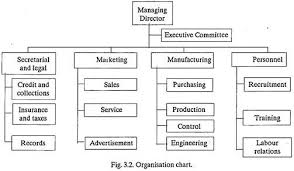 Organisation Chart Concept Advantages And Limitations