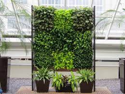 Vertical Garden Plants