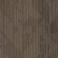 shaw mainstreet by philadelphia carpet