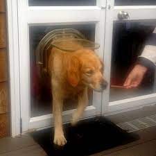 Dogwalk Large Dog Door For Glass Cat