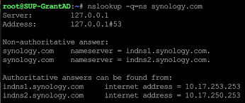 how can i query dns records with the
