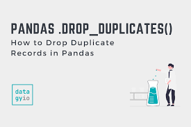 pandas drop duplicates drop duplicate