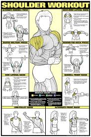 Shoulder Workout Fitness Chart Co Ed