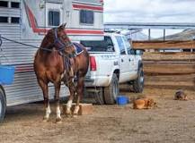 how-do-you-make-a-horse-trailer-ramp-less-slippery