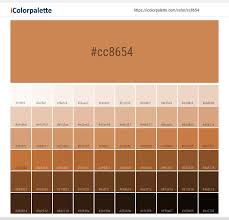 caramel bar color cc8654 information