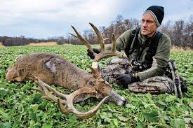hunt bucks as individuals