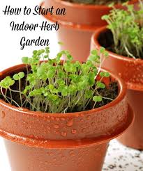 Indoor Herb Garden Backyard Herb Garden