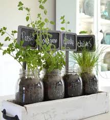 make herb garden on your window sill