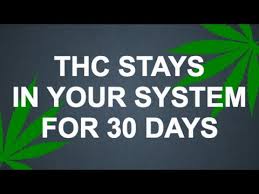 Thc Stays In Your System For 30 Days