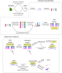 ngs file formats bioinformatics at