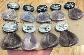Kenra Guy Tang Favorites Silver Metallics Hair Color