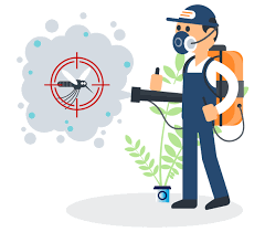 · rat pest control near me are you looking for the best and affordable pest control company in south yorkshire? Pest Control Stirling Pest Control Services In Stirling Sa