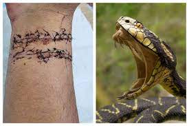 python severs man s artery with bite