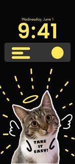 Cute Funny Cat Image Cutout Phone