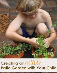 How To Create An Edible Garden