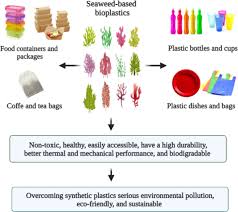 bioplastic s made from seaweed