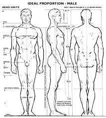Ideal Proportions For Male Female Chart Freebie