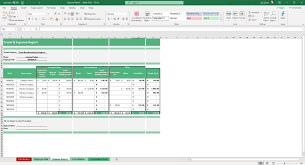 expense report excel and google sheets