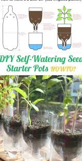 Diy Self Watering Seed Starter Pots