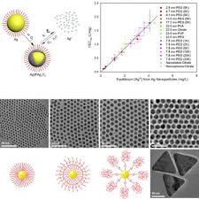 Discerning How Silver Nanoparticle