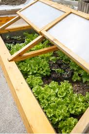 Using A Cold Frame How To Extend Your