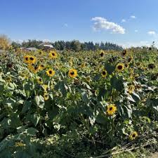 french prairie gardens updated march