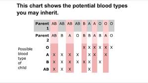 Parents Blood Type Chart Sada Margarethaydon Com