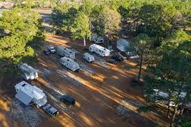 bastrop texas rv park the pines at