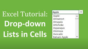how to create drop down lists in cells