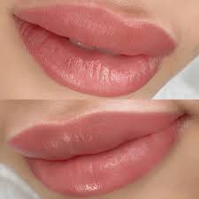 miami pmu lip blush training