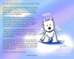 According to the story, when a pet dies, it goes to the meadow, restored to perfect health and free of any injuries. Rainbow Bridge Poem With Westie Poster By Kim Niles