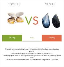 les vs mussels in depth