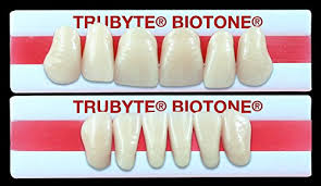 Amazon Com Dentsply 16366u591n Trubyte Biotone Plastic