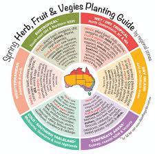 Spring Herb Fruit Vegies Planting