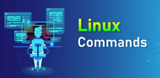 what are the Linux Commands