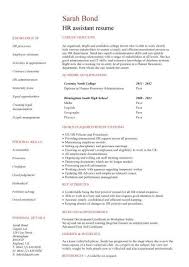 Executive hr and admin sample resume. Student Entry Level Hr Assistant Resume Template